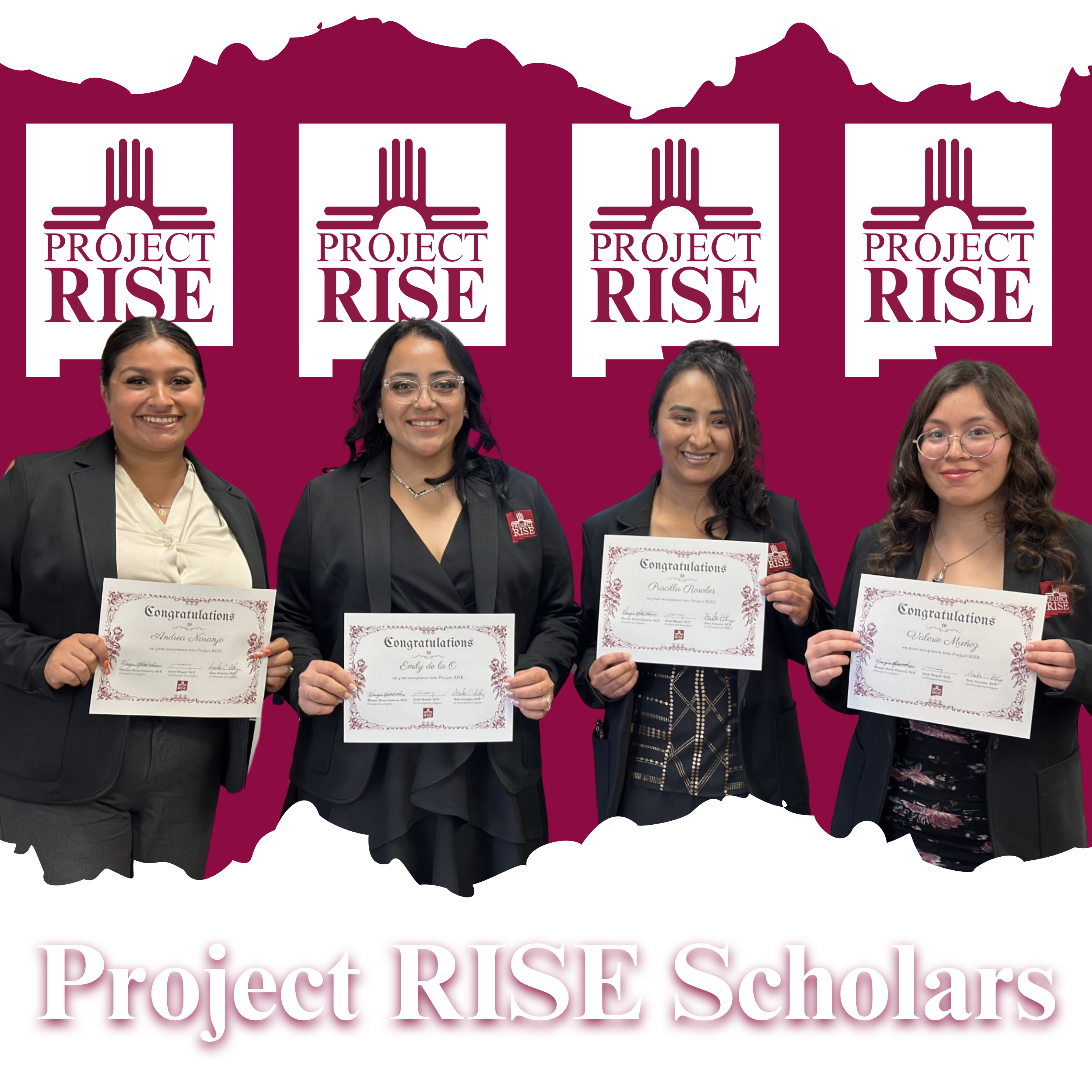 Project RISE Group